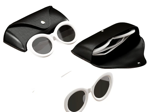 Snein Round Sunglasses with Case 3D Model