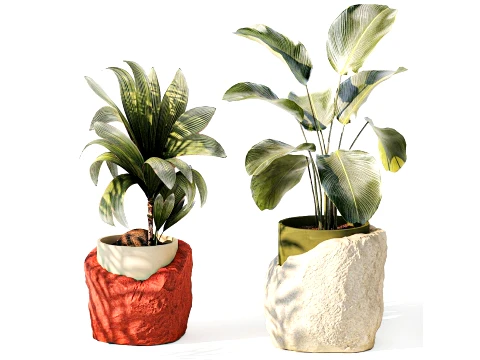 Petit pot en pierre de cocotier Calathea Strelitzia bush set Modèle 3D