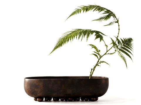 Minimalist Bouquet Branches Leaves Fern Leaves New 101 Copenhagen 3D 모델