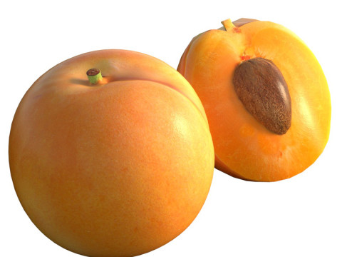 Apricot Fruit 3D Model