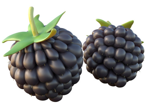 Blackberry Fruit 3D Model