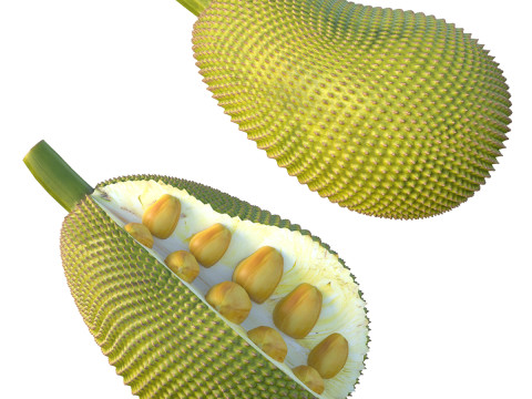 Jackfruit 3D Model