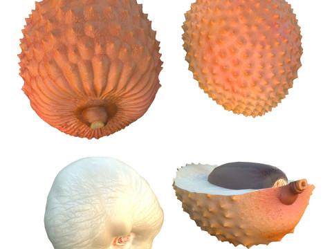 Lychee Fruit 3D Model