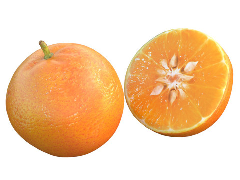 Mandarin Fruit 3D Model