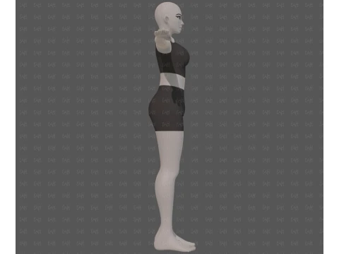 Base mesh woman 31 3D Model