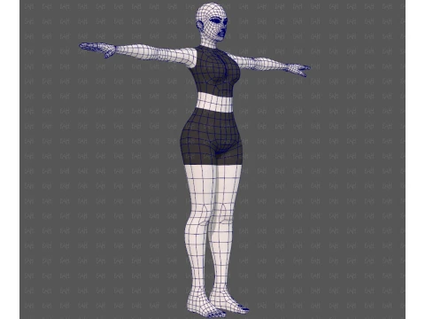 Base mesh woman 31 3D Model