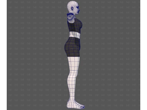 Base mesh woman 31 3D Model