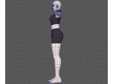 Base mesh woman 31 3D Model