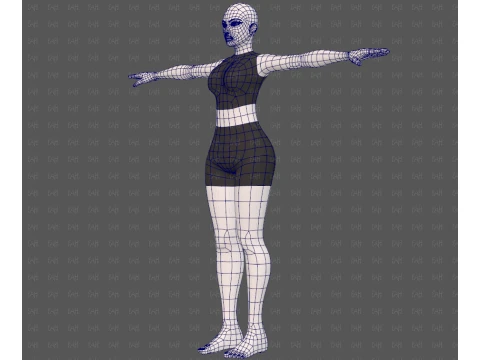 Base mesh woman 31 3D Model