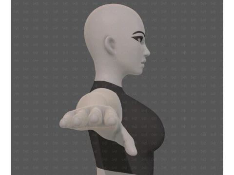 Base mesh woman 31 3D Model