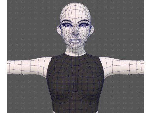 Base mesh woman 31 3D Model