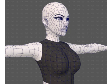 Base mesh woman 31 3D Model