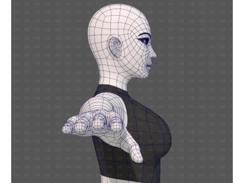 Base mesh woman 31 3D Model