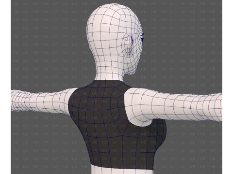 Base mesh woman 31 3D Model