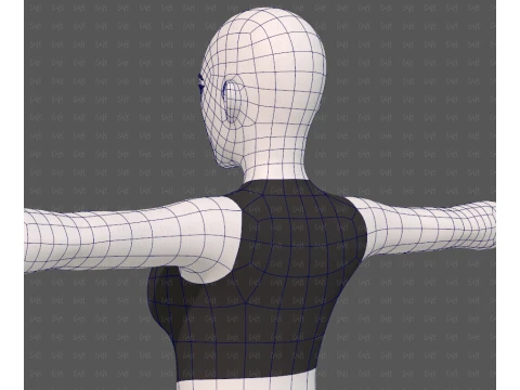 Base mesh woman 31 3D Model