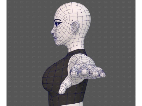 Base mesh woman 31 3D Model
