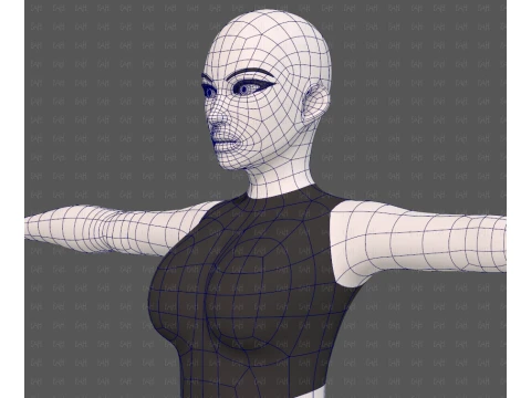 Base mesh woman 31 3D Model