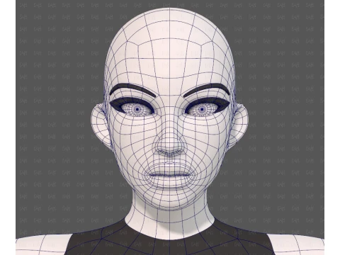 Base mesh woman 31 3D Model