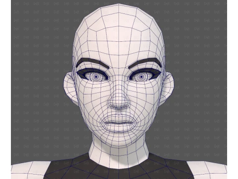 Base mesh woman 31 3D Model