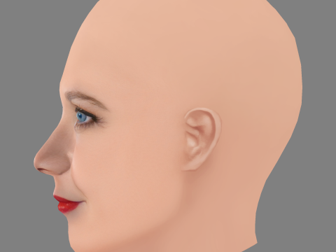 Maggie Gyllenhaal Head - No Hair - Low poly head for game 3D Model
