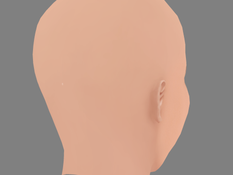 Maggie Gyllenhaal Head - No Hair - Low poly head for game 3D Model
