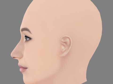 Maggie Q Head - No Hair - Low poly head for game 3D Model