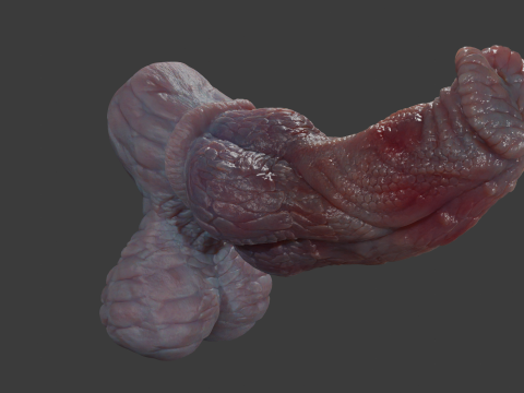 Fantasy Pathrax Dragon Penis Sextoy Rigged 3D Model