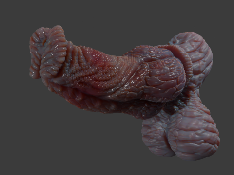 Fantasy Pathrax Dragon Penis Sextoy Rigged 3D Model