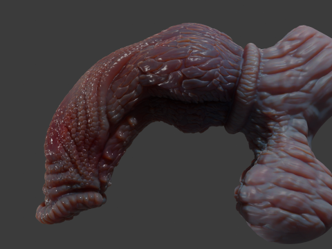 Fantasy Pathrax Dragon Penis Sextoy Rigged 3D Model