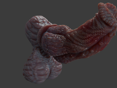 Fantasy Pathrax Dragon Penis Sextoy Rigged 3D Model