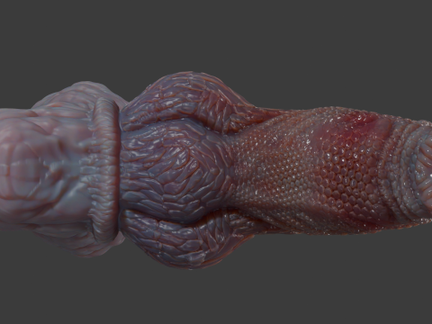 Fantasy Pathrax Dragon Penis Sextoy Rigged 3D Model