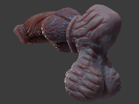 Fantasy Pathrax Dragon Penis Sextoy Rigged 3D Model