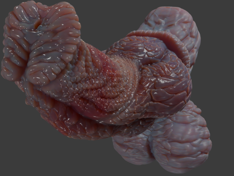 Fantasy Pathrax Dragon Penis Sextoy Rigged 3D Model