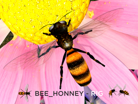 Bee Honey Movie 3D Модель