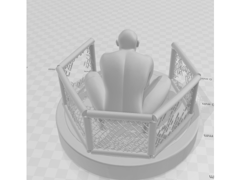 Bonecos 3d style manga anime anderson spider silva destruction octogono style caricato 3D Print Model