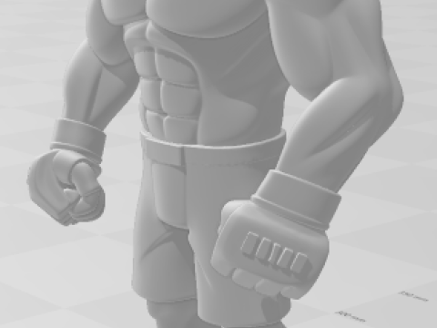 Bonecos 3d style manga anime fabricio vai cavalo werdum style caricato 3D Print Model