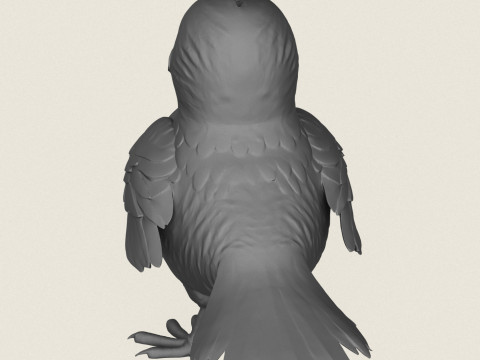 Bird Print Ready 3D Print Model