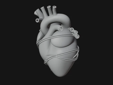 Anatomical Human Heart Model Design 4 - 3D Print Model 3D Print Model