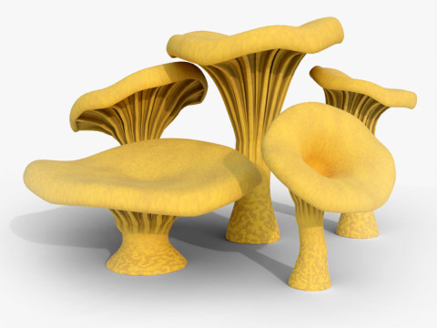 Chanterelle Mushroom Trees Model 3D