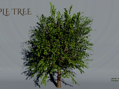 Realistic Apple Tree 3D Vegetation Modèle 3D