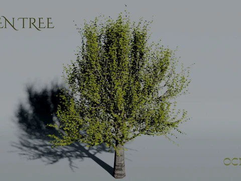 Realistic Aspen Tree 3D Vegetation Modèle 3D