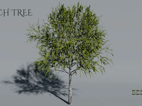 Realistic Birch Tree 3D Vegetation Modèle 3D