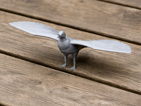 New World Vulture Modelo 3D