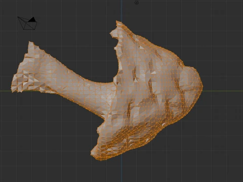Red hole mushroom 3D Model