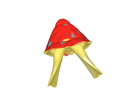 Red hole mushroom 3D Model