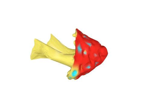 Red hole mushroom 3D Model