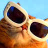 leto3d