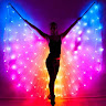 ledshow.in