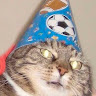 aaaaa.rprp